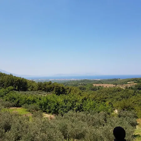 Esin Sitesi Kusadasi 公寓 *